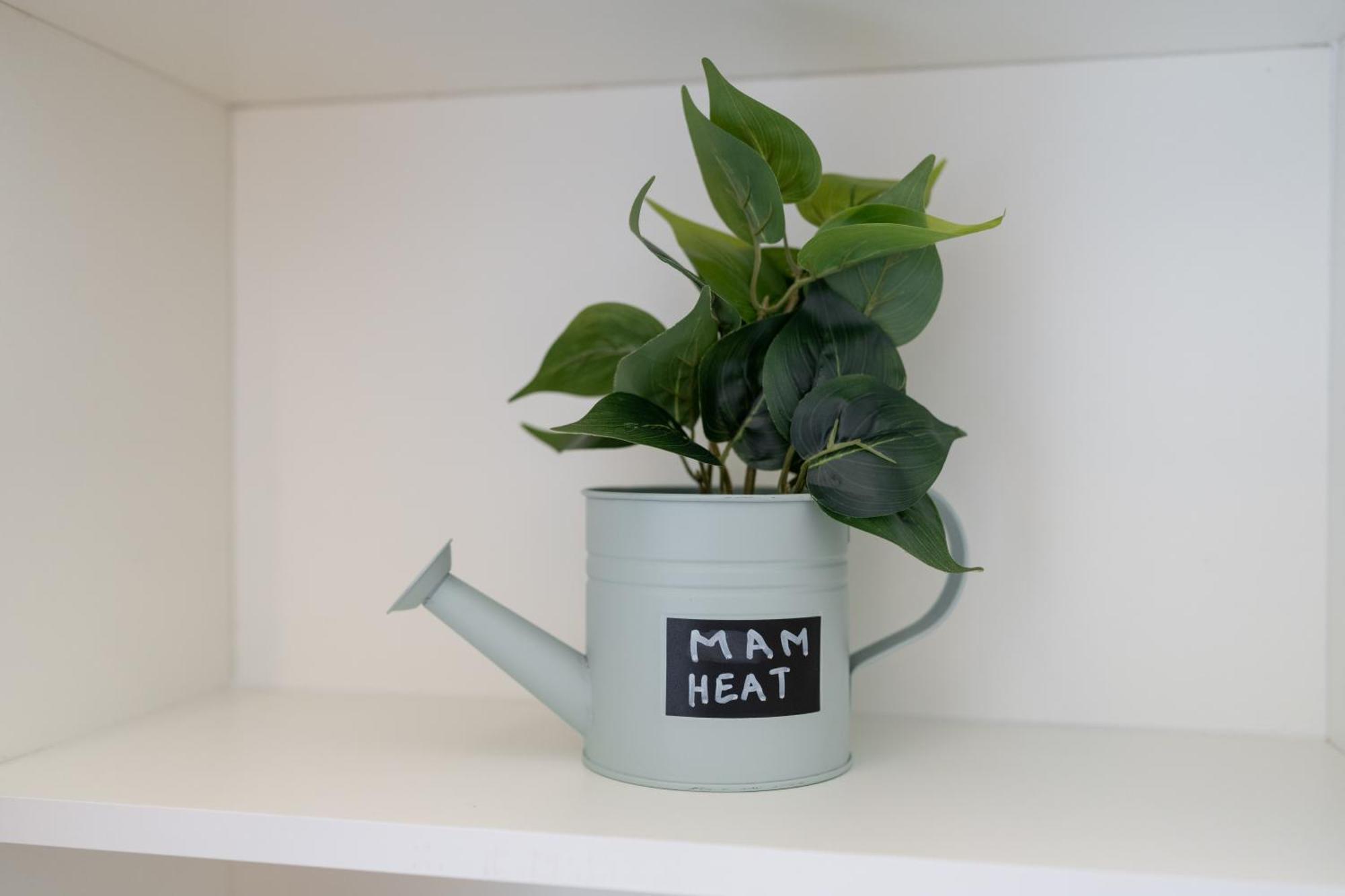 Mam Heat Apartments - Viana City Centre Βιάνα ντο Καστέλο Εξωτερικό φωτογραφία